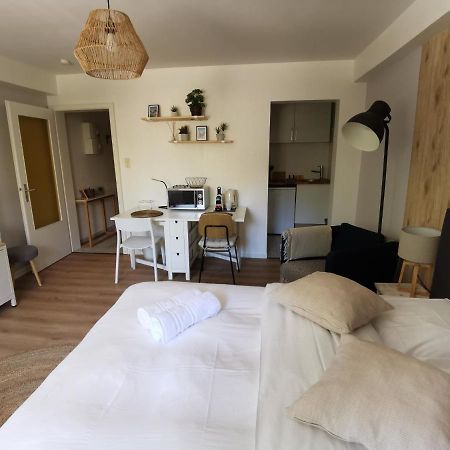 Marnesia - Studio Avec Vue Sur Les Quais Strasbourg Extérieur photo