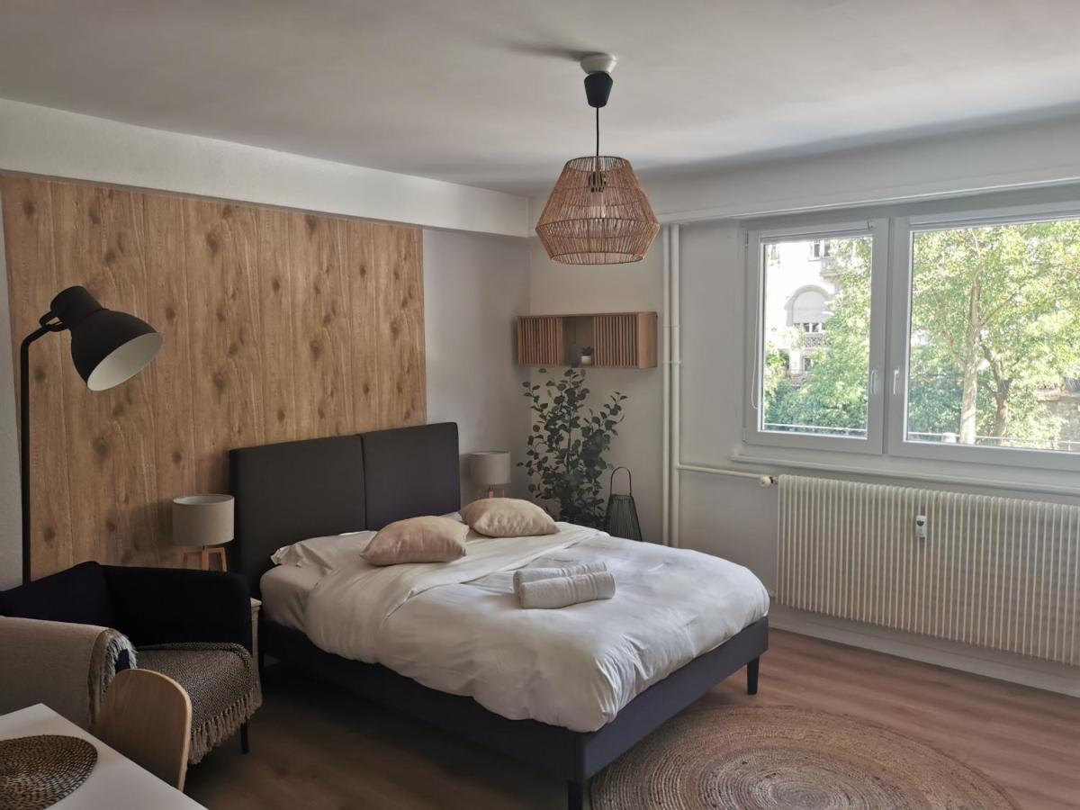 Marnesia - Studio Avec Vue Sur Les Quais Strasbourg Extérieur photo